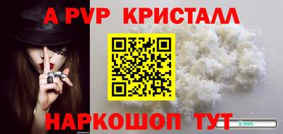 крисы Кулебаки