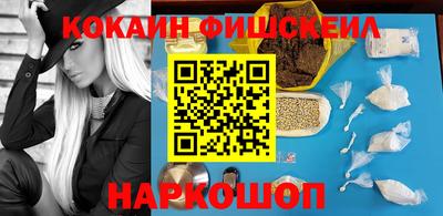 крисы Кулебаки