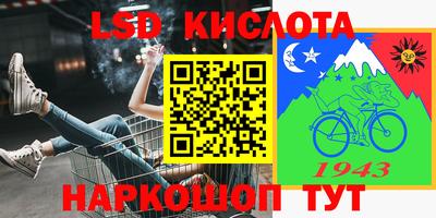 крисы Кулебаки