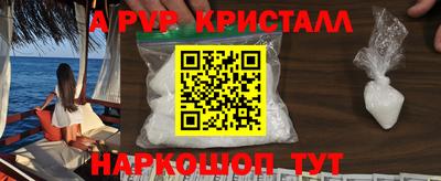 крисы Кулебаки