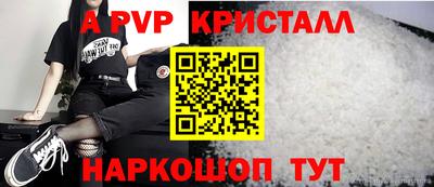 крисы Кулебаки