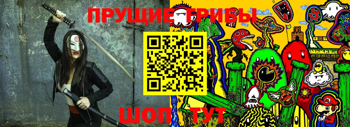 Псилоцибиновые грибы Psilocybe  закладка  Десногорск  Вход с VPN 