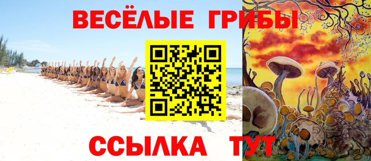 Псилоцибиновые грибы Cubensis Десногорск